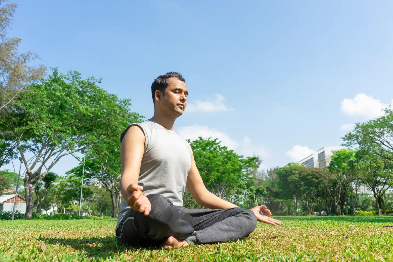 Yoga Lawn