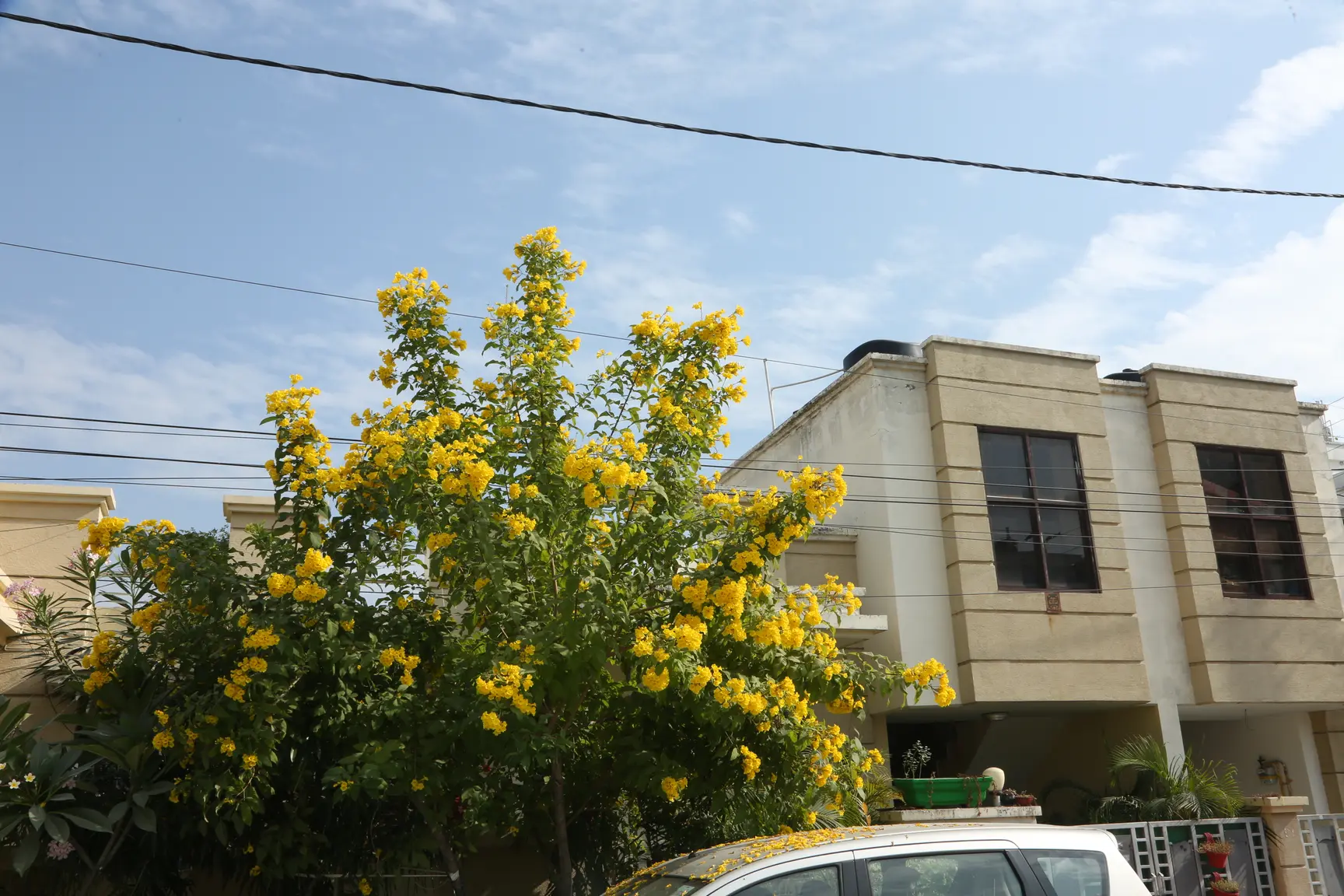 Exterior Image 24: Prakash City